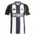 Newcastle United Alexander Isak #14 Fußballbekleidung Heimtrikot 2024-25 Kurzarm